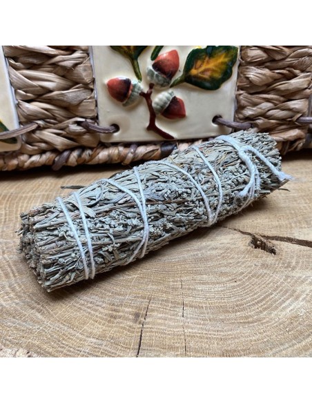 Palo de salvia - 12 cm