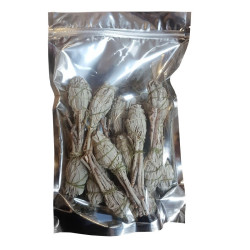 Mazzo di salvia - 10,5 cm - 20 pezzi