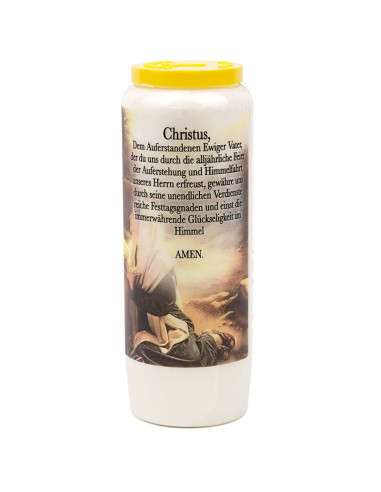 Novena candle to Jesus - Well 2 - box of 20 pieces