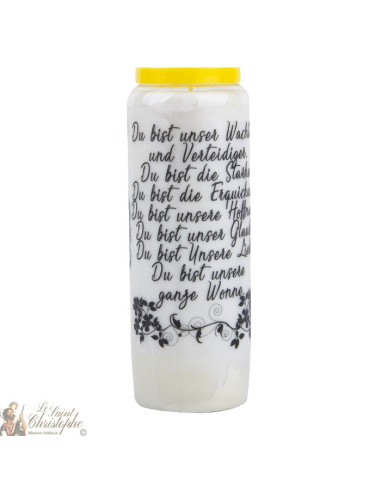 Novena candle prayer to Saint Francis of Assisi - box of 20 pieces