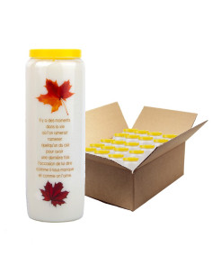 Toussaint white novena candle - box 20 pieces