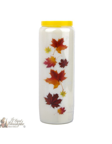 Toussaint white novena candle - box 20 pieces