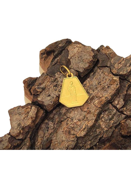 Medaille Jungfrau der Armen und Heiliges Herz Jesu - vergoldet