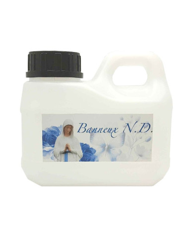 Acqua di Banneux 500 ml | Tanica riempita, origine garantita