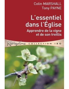L'essentiel dans l'Eglise : apprendre de la vigne et de son treillis