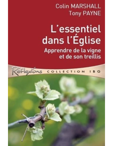 L'essentiel dans l'Eglise : apprendre de la vigne et de son treillis