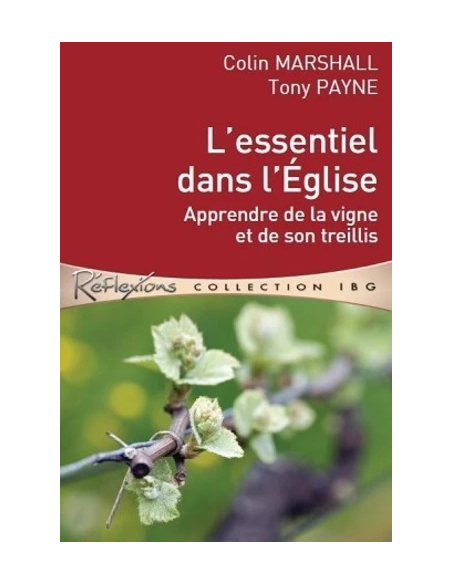 L'essentiel dans l'Eglise : apprendre de la vigne et de son treillis