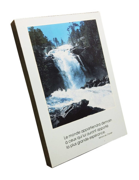 Houten wandplaat - Citaat van Teilhard de Chardin - Hoop