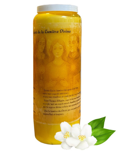 Novena Candle to the Saints of the Divine Light, Jasmine Scent - Box of 20