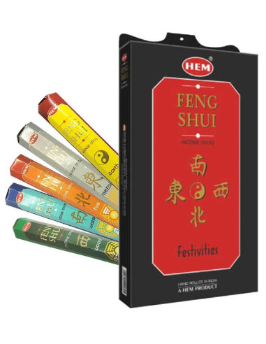 Encens Feng Shui bâtons - Les 5 éléments - tube HEM