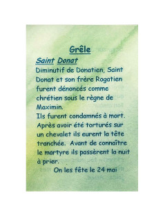 Prayer card to your patron saint - Hail