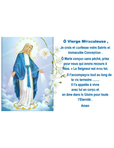 Pegatina para velas de novena con oración - Virgen Milagrosa 2 - Lote de 10