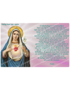 Pegatina para velas de novena con oración - Sagrado Corazón de María - Lote de 10