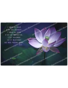 Autocollant décoratif pour bougie de neuvaine avec  citation en français - fleur de lotus
