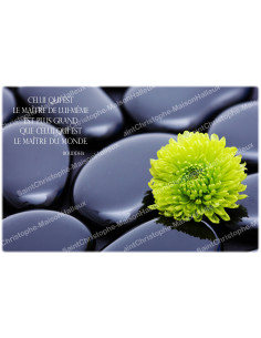 Pegatina decorativa para velas de novena - Cita zen de Buda - Lote de 10