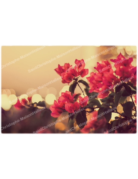 Autocollant décoratif pour bougie de neuvaine - Fleurs 1 - Lot de 10