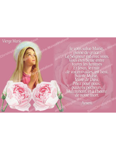 Pegatina para vela de novena con oración - Ave María - Rosa - Lote de 10