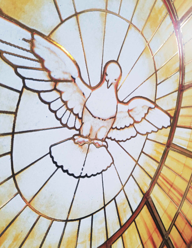 Póster Espíritu Santo – Paloma luminosa – 50 × 70 cm