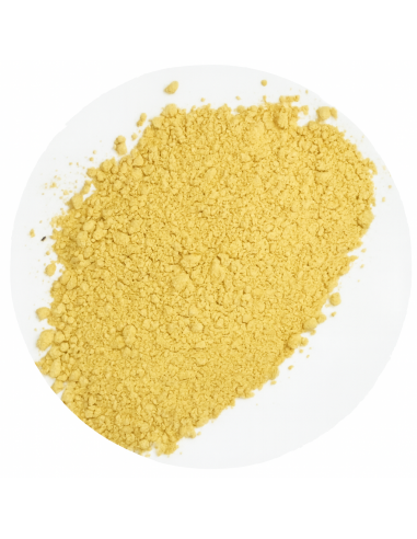 Ferula Hermonis – Polvere 100 g | Pianta tradizionale