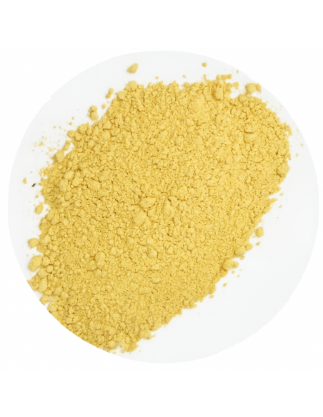 Ferula Hermonis – Polvere 100 g | Pianta tradizionale