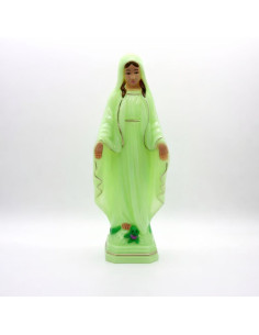 Statua Madonna Miracolosa fluorescente 15 cm | Dipinta a mano