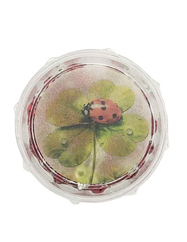 Roter Marienkäfer-Rosenkranz – Rosenkranz mit Wundermedaille