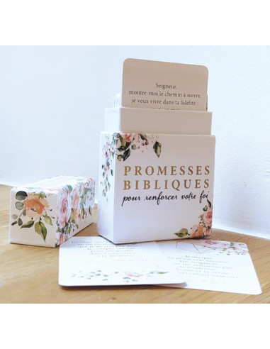 Promesse Bibliche – 50 carte bibliche in francese
