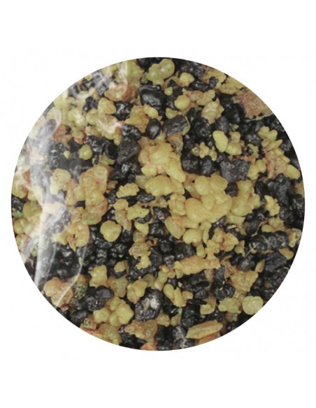 Incenso Libano - 1 Kg