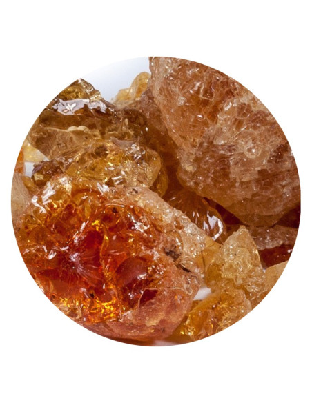 Incienso Acacia - goma tragacanto pura - 1 kg