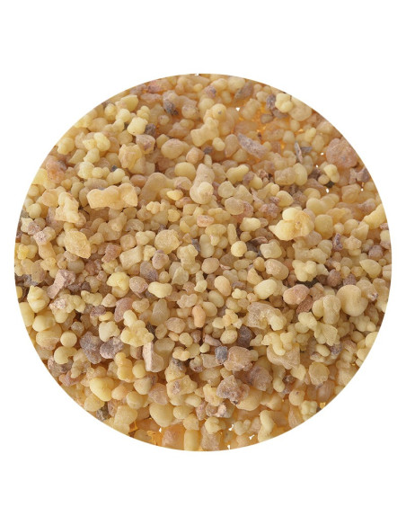 Oliban Weihrauch - Tränen des Sudan - 1 kg