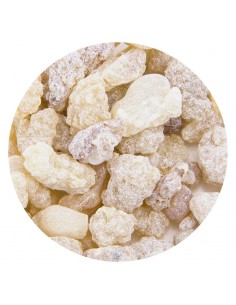 Basilicum Wierook - 1 Kg