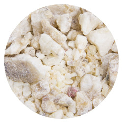 Encens naturel Djaoui Blanc - 1er Qualité 