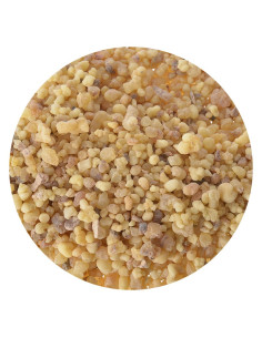 Tamaño del guisante de incienso de Somalia - 1Kg