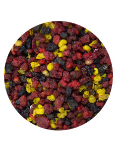 Incienso de Santa Teresa - 1 kg