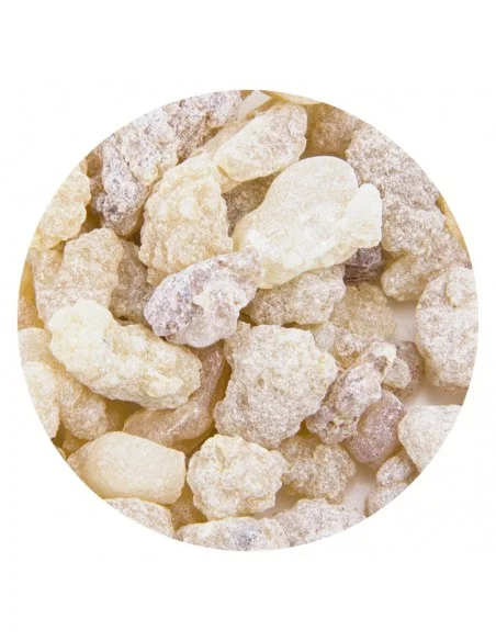 Incenso alla basilica - 50 gr