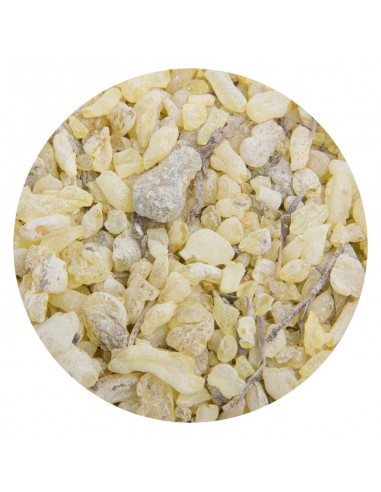 Incienso Franciscano - 1kg