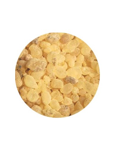 Incense Putty - 25 gr