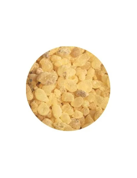 Incense Putty - 25 gr