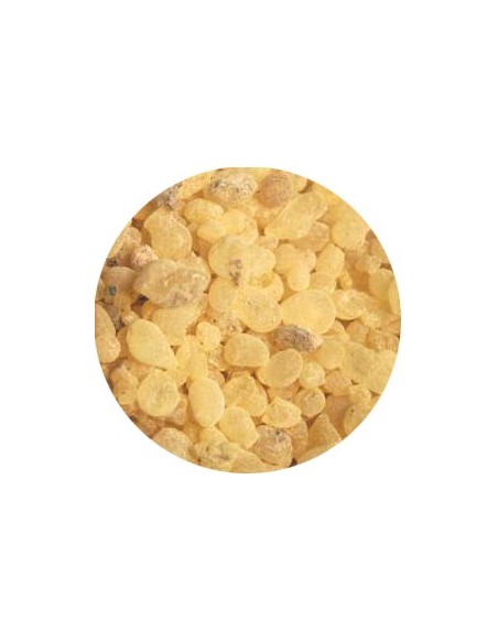 Masilla de incienso - 25 gr